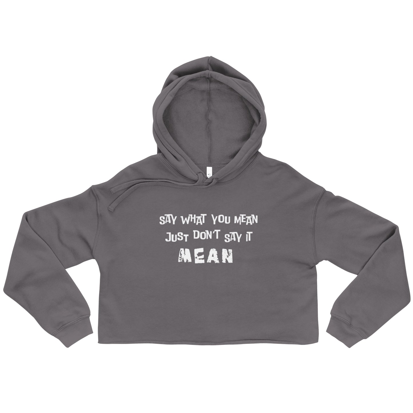 Say What You Mean just Don’t say it Mean crop Top Hoodie